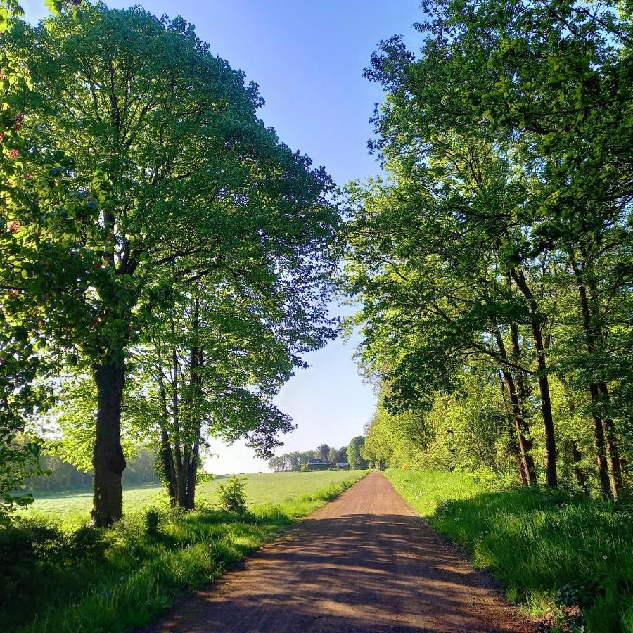 Hébergement de vacances Natuurhuisje Wolterholten